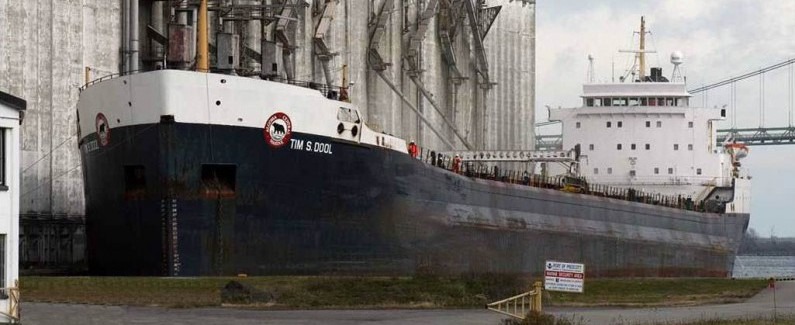Domestic Dry-Bulk - Gearless Bulk Carriers