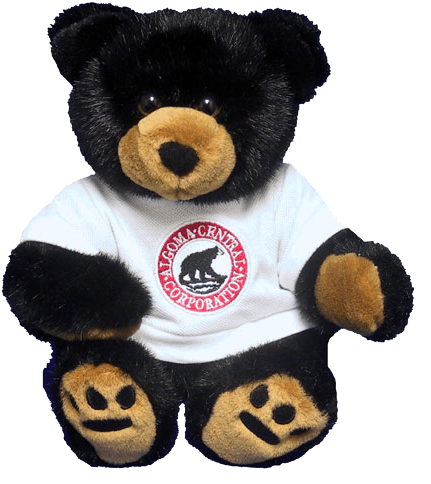 Algoma Bear