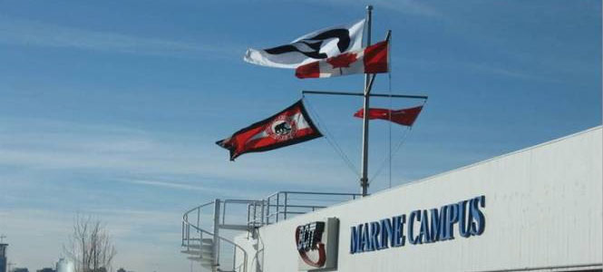 New to the Marine Industry